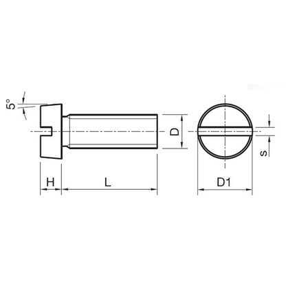 Vite testa cilindrica con intaglio DIN 84 nylon naturale