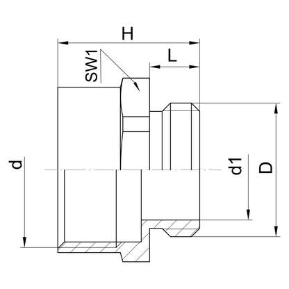 Adattatore esagonale metrico-PG