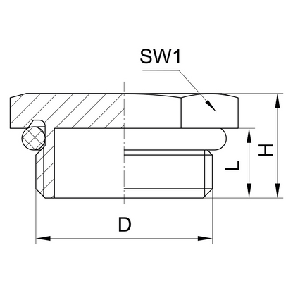 Tappo filettato esagonale con O-ring passo metrico